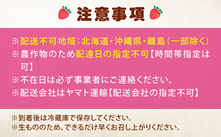 【2026年1月以降順次発送】こだわりの紅ほっぺ 280g 4パック[BAFN001]紅ほっぺ