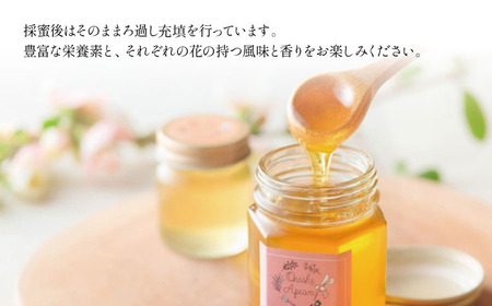 大西養蜂場 非加熱はちみつ さくら 300g 2本 ／【大西養蜂場】 桜 サクラ ２本 セット 蜂蜜 ハチミツ 国産 国産はちみつ 非加熱はちみつ 純粋 純粋はちみつ ３００ｇ 600g ６００ｇ 使いやすい 専用ボトル プラスチック容器 長期保存 人気 オススメ おすすめ