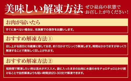 博多和牛 上スライス 450g 有限会社堀田農産 堀ちゃん牧場《60日以内に出荷予定(土日祝除く)》福岡県 小竹町 牛 和牛 牛肉 スライス しゃぶしゃぶ すき焼き 牛丼