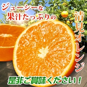 G7328_【2027年先行予約】とにかくジューシー 清見 オレンジ 2.5kg フルーツ 果物 柑橘 果実 甘い 果汁 ジューシー コク 柑橘の親 国産 食品 食べ物 魚鶴商店 平成の三大柑橘 お取り寄せ 和歌山県 湯浅町 送料無料