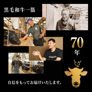 【数量限定】A4・5等級ナカヤマさんちのお肉 鹿児島県産黒毛和牛うしの中山サイコロステーキ200g 黒毛和牛 和牛 ステーキ サイコロステーキ 肉 牛肉 国産 九州産 鹿児島県産 赤身 焼肉 日本一 ランキング 人気 a1-123