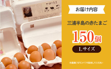 餌にこだわった三浦半島産赤たまご　Lサイズ10kg（約150個）　【横須賀商工会議所　おもてなしギフト事務局（岩沢ポートリー）】[AKET006]