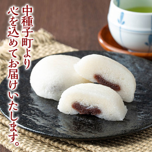 n307 かるかん 饅頭 計10個・2個入×5 鹿児島 種子島 郷土 軽羹 【山田製菓本舗】