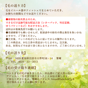 ペットの抜毛で作る小さな筆 　遺毛 思い出 形見 供養 愛犬 愛猫 うちの子 誕生日 メモリアル 記念品 犬 猫