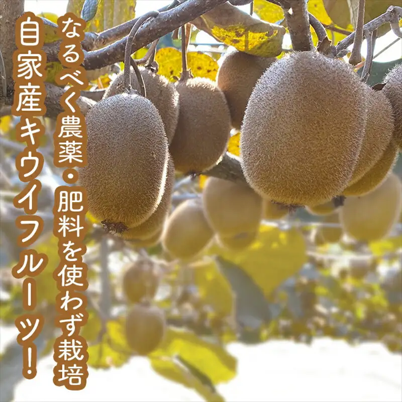 スイスで加工品を学んだ農家が手間暇かけた『手づくりジャムソース【キウイ】』16本セット【 家庭用 自宅用 贈答品 贈答用 ギフト お取り寄せ お中元 お歳暮 贈り物 お祝い 神奈川県 小田原市  ジャム ジャム】