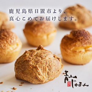 No.1207 青山じゅあんおすすめセットA(5種・合計17個入) 鹿児島 日置市 特産品 お菓子 洋菓子 菓子 おかし スイーツ おやつ カスタード クリーム 冷凍 冷凍配送 ギフト 【青山じゅあん】