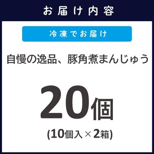 自慢の逸品、豚角煮まんじゅう20個(１箱10個入り×2箱）( 角煮 角煮まんじゅう 豚角煮 角煮まん 個包装 中華 )【C5-039】