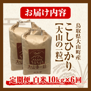 MS-104　頒布会（大山町産こしひかり【大山の一粒】白米10ｋｇ×6回）