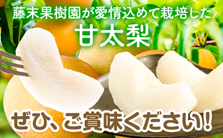 【2026年先行予約】梨 甘太梨 約3kg 藤末果樹園 《9月中旬-9月下旬頃出荷》 熊本県 荒尾市 梨 なし 果物 フルーツ デザート かんたなし 送料無料