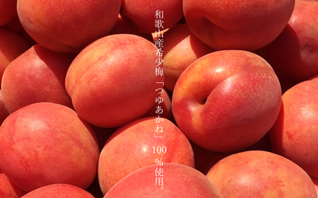 MIYAYOSHI BLACK LABEL　No.06 large bottle(B966-2)