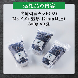 漁師直送！宍道湖産ヤマトシジミ・Mサイズ冷凍2.4kg