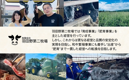 美深町 肉のはたのハンバーグ 2個 500g×2 冷凍 ギフト 詰め合わせ 和牛 牛肉 お弁当 ランチ 昼食 夕食 おかず 総菜 バーベキュー ハンドメイド 手作り 美深黒牛 ブランド 霜降り 団らん昼食 ランチ ディナー 夜食 御馳走 満足 簡単 焼くだけ　