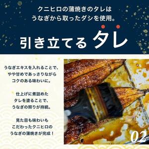 国産 うなぎの蒲焼き 特大 180g×2尾 タレ・山椒付［3-4人前］