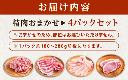 豚肉 うつみ潮風豚 精肉おまかせ4パックセット（1P/180g-280g）[BABT002] 豚肉