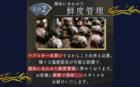 天然まぐろ ネギトロ 1.2kg (80g×15袋) セット 詰め合わせ ねぎとろ 天然 まぐろ 鮪 マグロ 魚 魚介 魚介類 高級 冷凍ネギトロ 冷凍 静岡 静岡県 浜松市