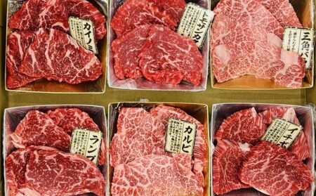 定期便 6ヶ月 博多和牛 A4ランク以上 希少部位 おまかせ6種 セット 420g (70g×6種) 牛肉 肉 6回 ※配送不可：離島