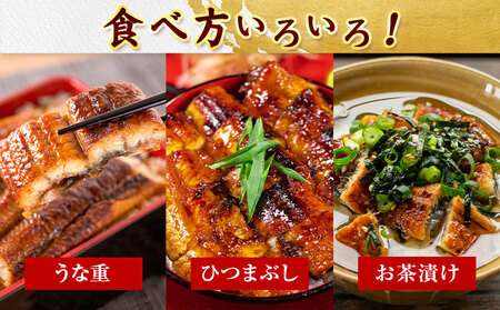 うなぎ 大型サイズ 国産うなぎ蒲焼き 3尾