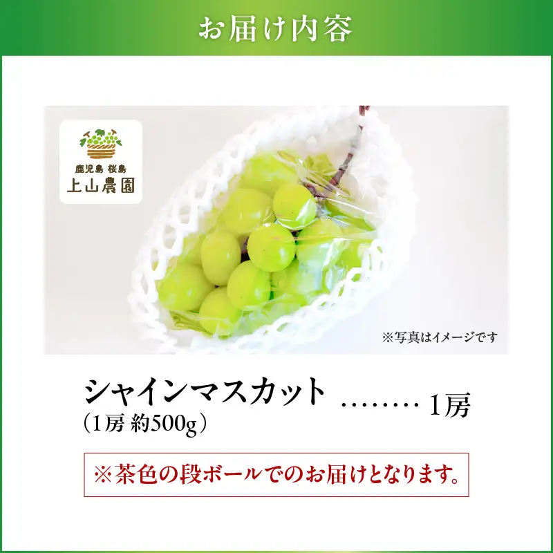 【 2026年 先行予約 】【 桜島 産 】 シャインマスカット 1房 K260-001_01