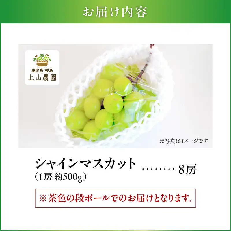 【 2026年 先行予約 】【 桜島 産 】 シャインマスカット 8房 K260-001_05