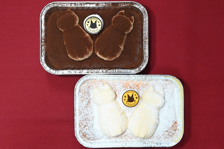 BI187 スフレ ケーキ チーズ チョコ 計2個 セット [ 長崎県 島原市 ]