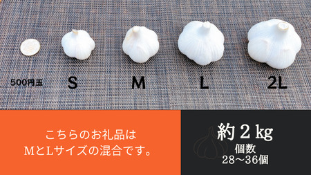 【農家直送】田子町産にんにく M&L size『２kg』