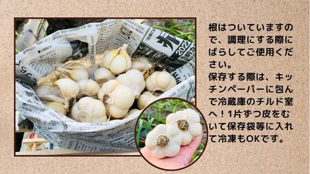 【訳あり】田子町産乾燥にんにく『１kg』