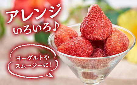 【2026年4月以降発送】福岡産 冷凍 あまおう 1kg （500g×2袋） 桂川町/南国フルーツ株式会社 [ADBW005] あまおう いちご 果物 冷凍 フルーツ 