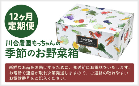 定期便 ≪12ヶ月連続お届け≫ 川合農園もっちゃん季節のお野菜お届け箱 ～季節の野菜や果実を毎月7品種前後お届けします！～ 【野菜 やさい 野菜セット 詰め合わせ おまかせ 新鮮 旬 定期便 12回 産地直送】 [K-7501]