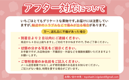 訳ありいちご 約2kg 250g×8P ジャム用 苺
