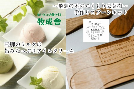 牧成舎 アイスクリーム 4種12カップ& FabCafe Hidaのアイススプーン 手作りキット 2名分[C0066]
