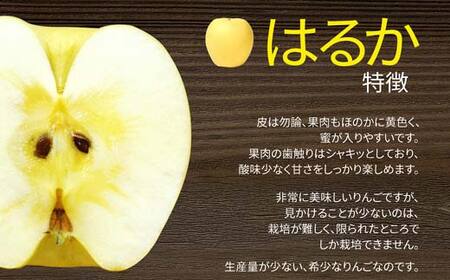 《先行予約2026年度発送》 りんご はるか 2kg(5～8玉) 秀品 果物 フルーツ FSY-1391