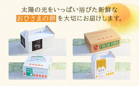 【定期便6か月】関匠卵 たくみ 30個×6か月｜卵 30個 赤玉 玉子 たまご 生卵 鶏卵 産みたて 新鮮 濃厚 健康 TKG たまごかけごはん ご飯のお供 国産 ギフト 贈答 贈り物 お中元 お歳暮 プレゼント 茨城県 古河市 農家直送 ※北海道・沖縄・離島への配送不可 _CP09