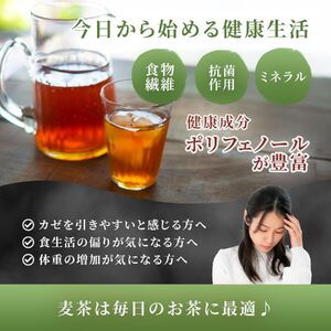 麦茶 ティーバッグ 100パック 麦茶