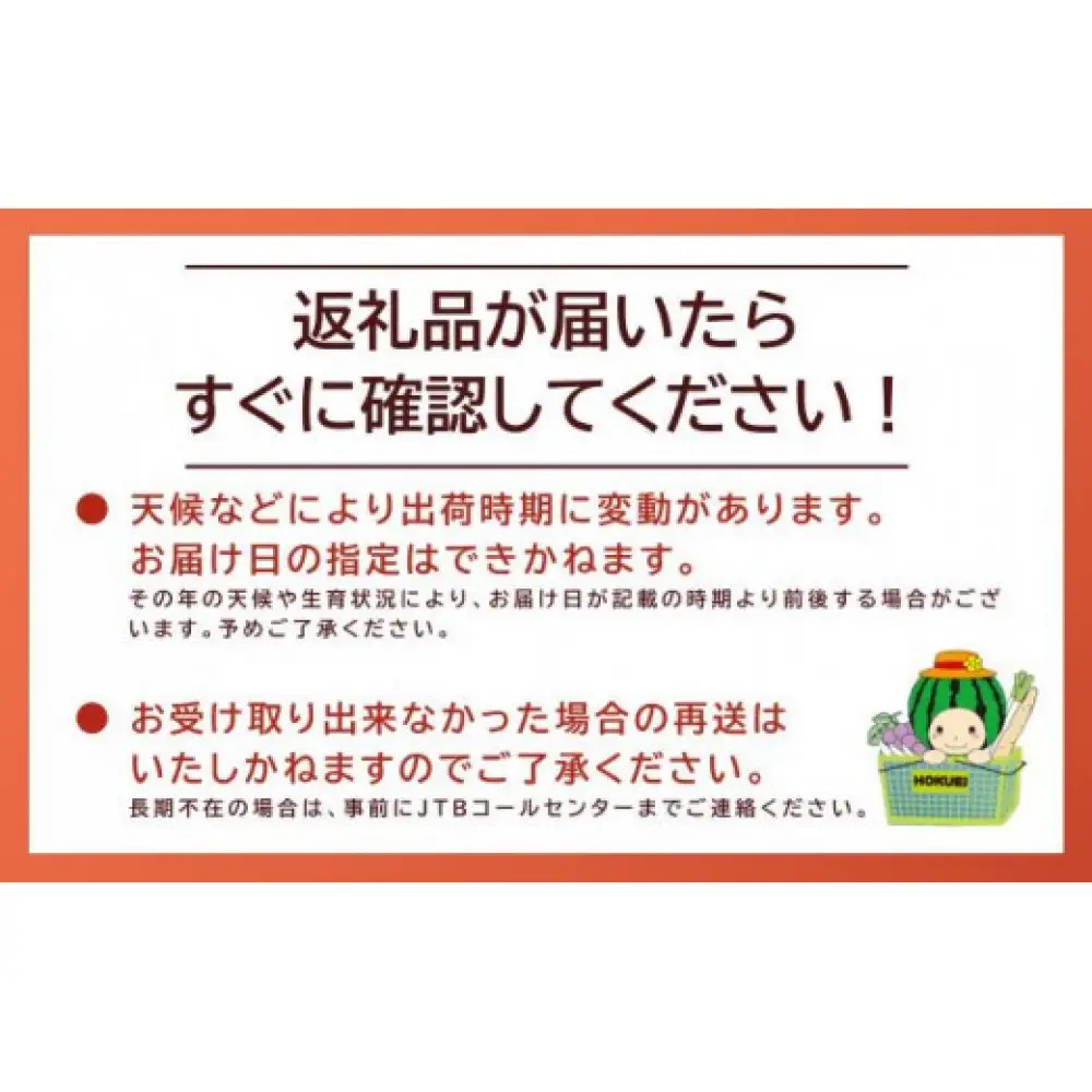 【ボイル】タグ付き 松葉ガニ  特大1枚（900g～1kg前後）  | 松葉 カニ 訳あり活 特大 美味しさに 訳あり 不揃い でないたっぷり 【着日指定不可】　※2026年11月上旬～2027年3月下旬頃に順次発送予定