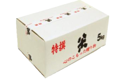 M-AE41.【白米】桜井市粟原産 ヒノヒカリ 5kg