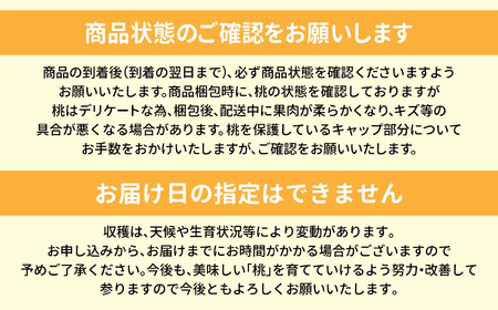 桃 【先行予約】大きいサイズ3玉(約1kg)  桃