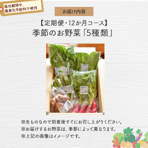 【栽培期間中、農薬・化学肥料不使用】桐島畑の季節野菜詰め合わせ(5種類)(定期便12か月コース)　Rfkh-A02 ／ やさい 国産野菜 四万十 高知 季節 フレッシュ 旬 無農薬 有機農業 野菜セット 新鮮 フレッシュ こだわり栽培 安心安全