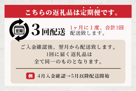 【定期便3回】ペット用 熊本加工 手作り 馬肉 ジャーキー 【100g×3回】 ドッグ フード ペット おやつ 食事 無添加 無香料 ヘルシー 高栄養 馬肉 お肉専門店 熊本県 国内加工 041-0510