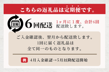 【定期便6回】ペット用 手作り 馬肉 ジャーキー 熊本加工 【100g×6回】 ドッグ フード ペット おやつ 食事 無添加 無香料 ヘルシー 高栄養 馬肉 ペット お肉専門店 熊本県 馬肉 国内加工 041-0511
