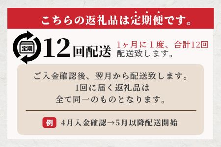 【 定期便12回 】 ペット用 手作り 馬肉 ジャーキー 熊本加工 【 100g ×12回 】 ドッグ フード ペット おやつ 食事 無添加 無香料 ヘルシー 高栄養 お肉専門店 1年 定期便 熊本県 馬肉 国内加工 041-0512