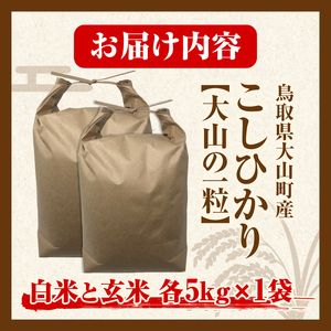 【令和8年10月以降発送新米】MS-108 大山町産こしひかり【大山の一粒】「白米」と「玄米」セット（各5kg　計10kg）