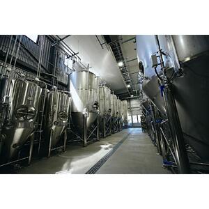 グレートデーンブリューイング 定番3種6缶詰め合わせ ラガービール【クラフトビール 飲み比べ 詰め合わせ ご当地ビール  ビール お酒 さけ 人気 ギフト 父の日 母の日 プレゼント】