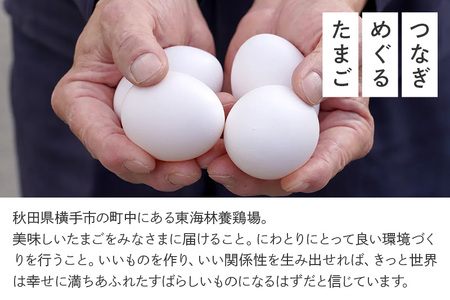 【常温発送】《定期便8ヶ月》ひとたま 40個（業務用）【発送時期が選べる】東海林養鶏場 ひとたま 卵 玉子 たまご タマゴ 8か月 8ヵ月 8カ月 8ケ月 開始時期選べる