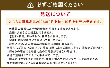 九重町産 梨 約2.7kg 豊水 新高 果物 フルーツ 大分県産 【2026年9月上旬-10月上旬発送予定】