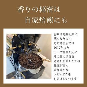 【定期便　全6回】最高級コーヒー コピルアク 100g【粗挽き（ネルドリップ）】