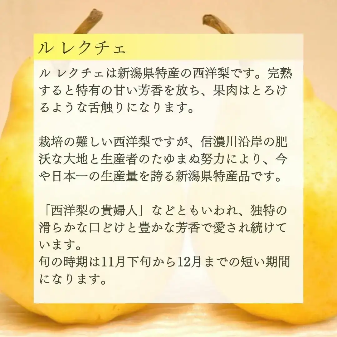 先行予約 フルーツ 定期便 全4回 フルーツ 定期便Bコース (桃3kg、シャインマスカット2房、和梨5kg、ルレクチェ3kg) 令和8年産 フルーツ 定期便 新潟県三条市 083S009