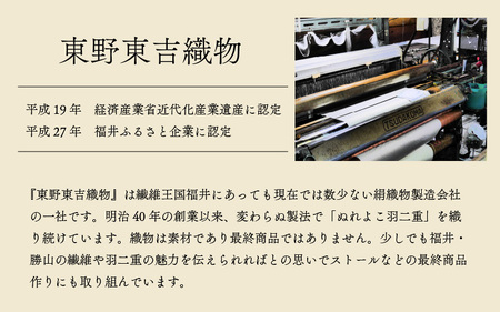 勝山の絹織物の伝統を受け継ぐ 羽二重恐竜ポーチ（フラワー柄） [A-053007]