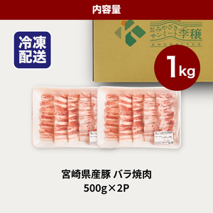 宮崎県産豚バラ焼肉 1㎏_K16_0186_1
