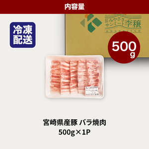 宮崎県産豚バラ焼肉 500g K16_0188