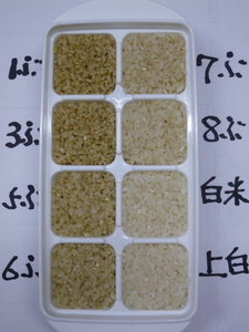 【令和7年産】うきうきう米 5kg 【2026年10月下旬までに発送予定】